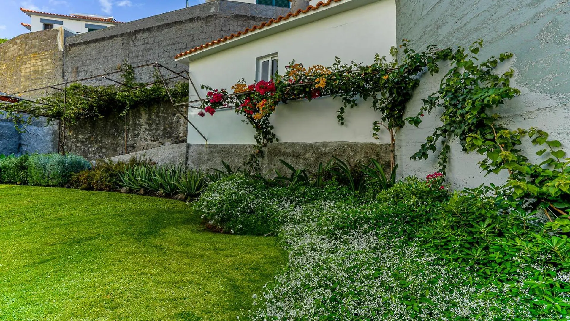 Casa Do Pinheiro Funchal Βίλα Σπίτι διακοπών